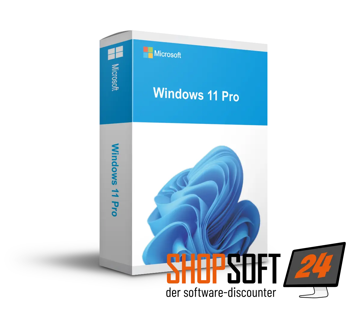 Windows 11 Professional | DE